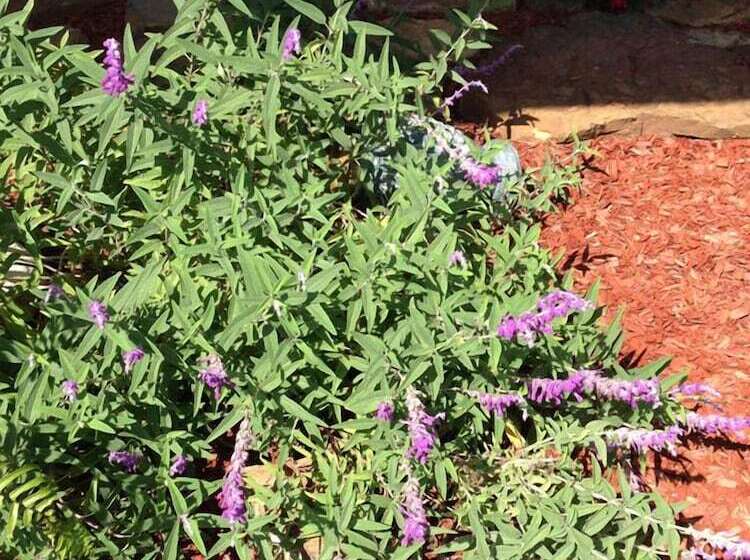 Wyman House Bed And Breakfast