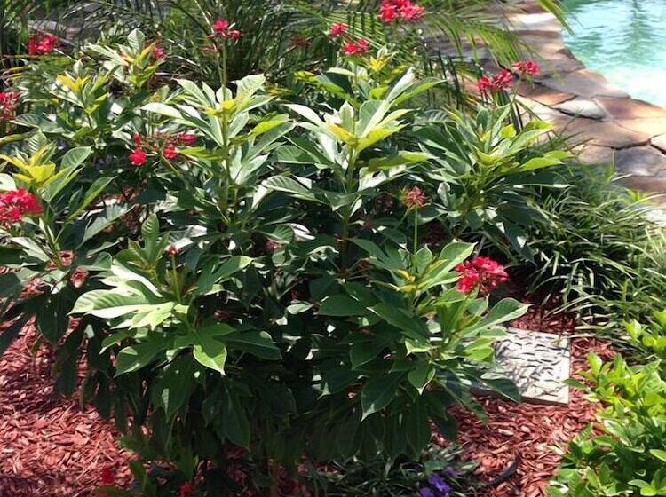 Wyman House Bed And Breakfast