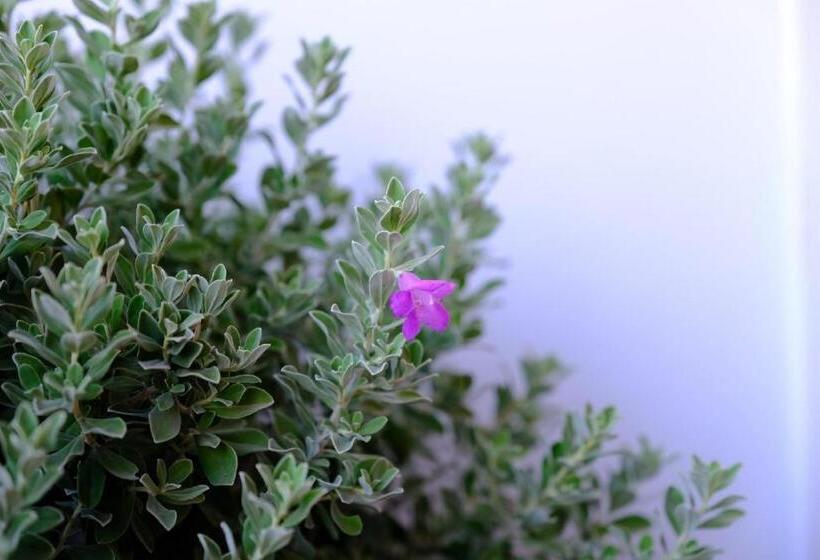 Отель Thaitara Chiangkhan