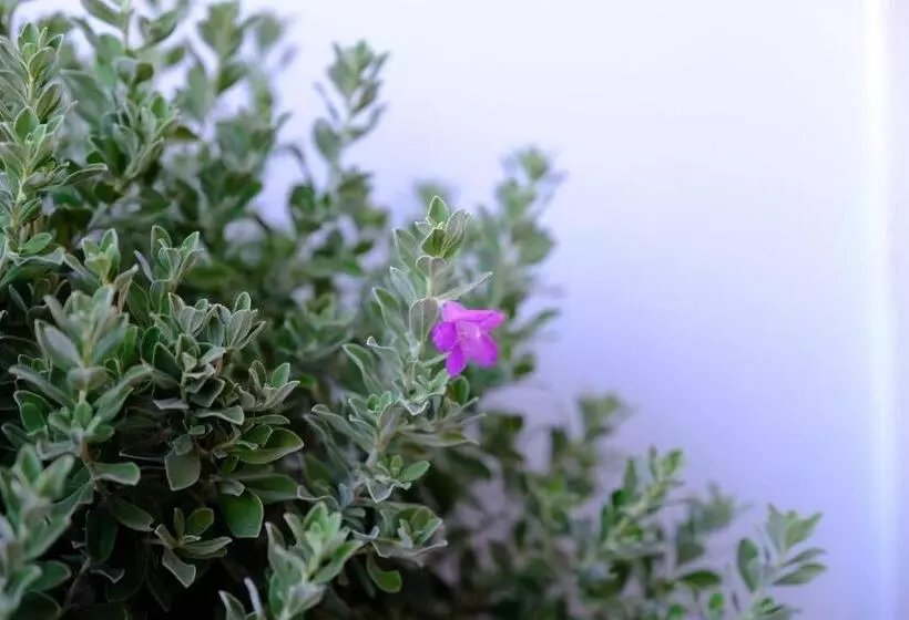 هتل Thaitara Chiangkhan