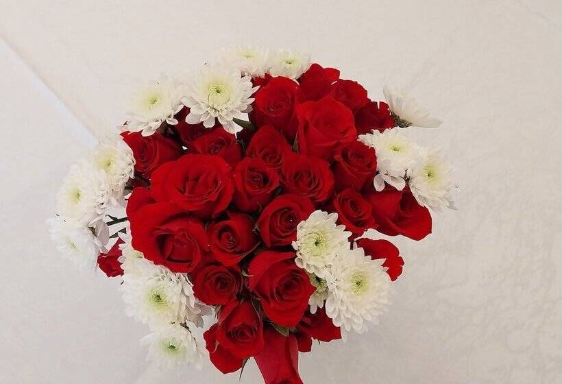 پانسیون Clemsa Boutique