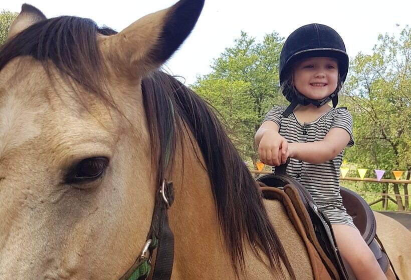 ペンション Die Plasie