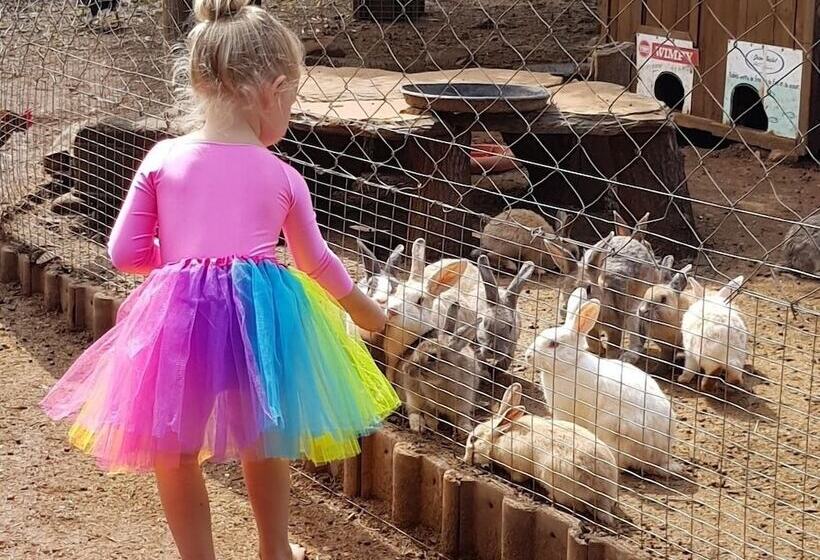 ペンション Die Plasie