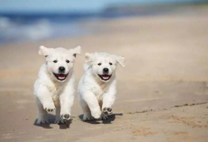 ホテル Hadong Jiri Mountain Saesori Pension