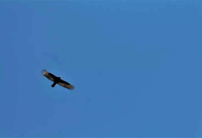 ホテル La Posada De Los Tumpis