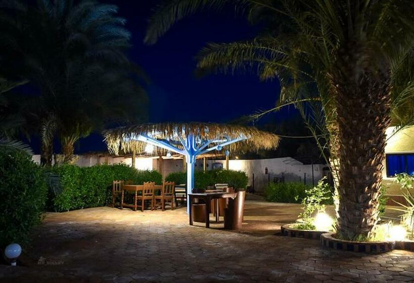 Hotel Miramar Camp Dahab