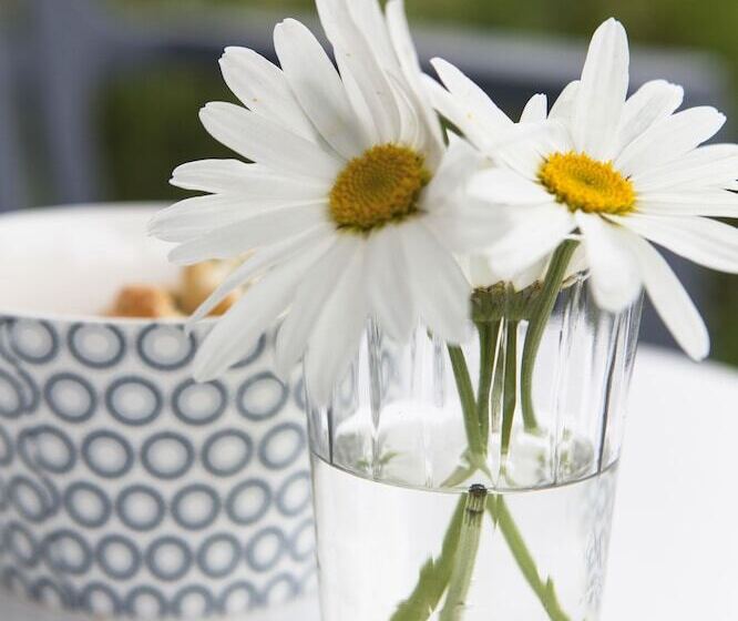 酒店 Strand 49 Camping & Glamping