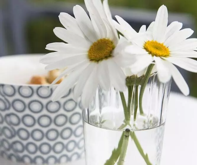 Hotelli Strand 49 Camping & Glamping