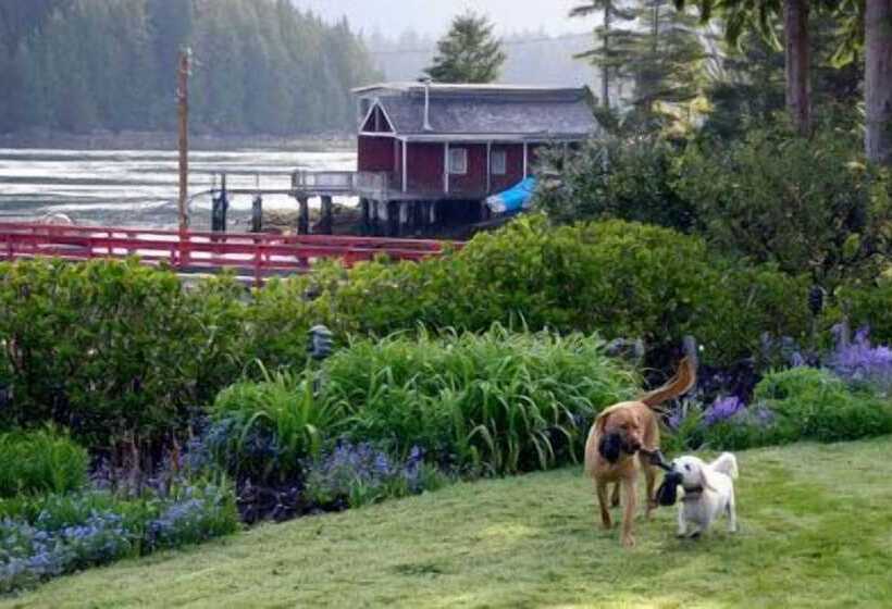 هتل Tofino Swell Lodge
