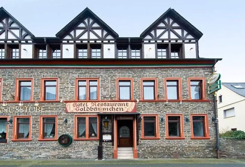 בית מלון כפרי Ellenzer Goldbaumchen