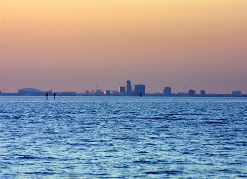 فندق Harborside Suites At Little Harbor