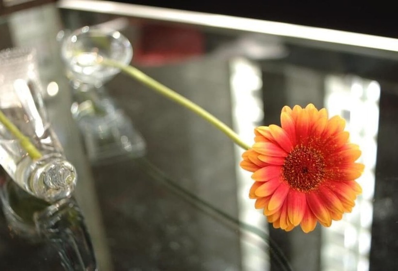 בית מלון כפרי Massimo Mishima