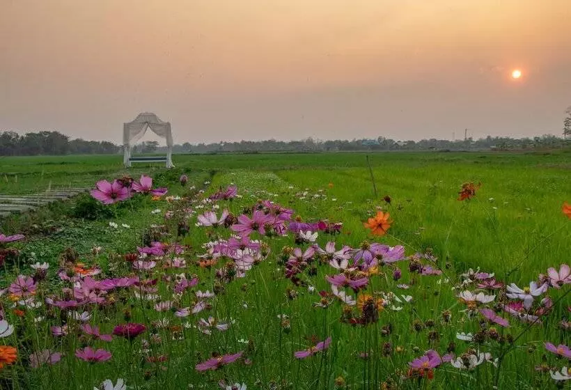 فندق Rosario Oasis Resort   Sha Plus