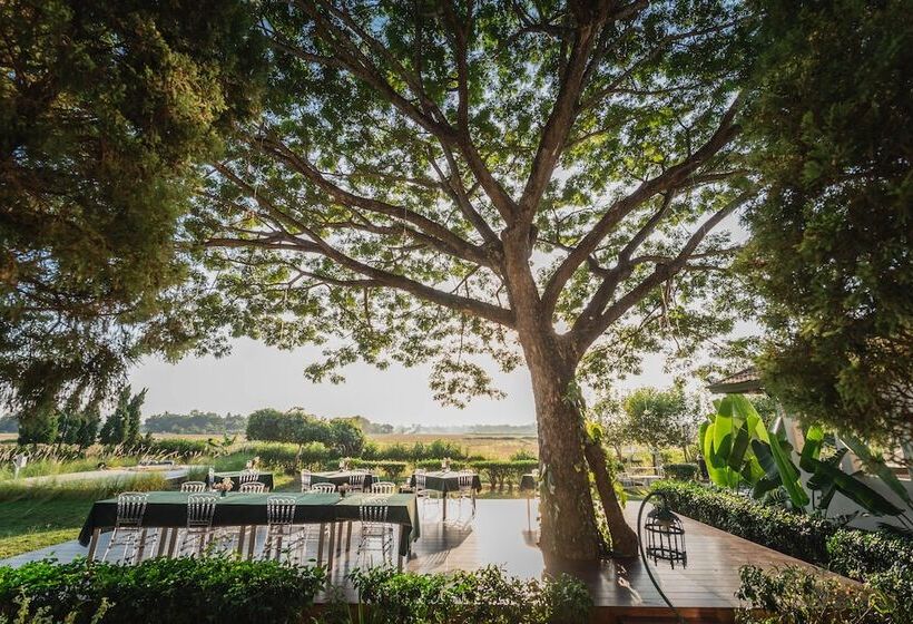 בית מלון כפרי Rosario Oasis Resort   Sha Plus