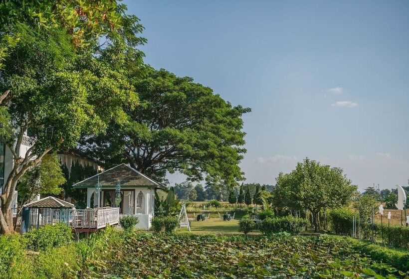 בית מלון כפרי Rosario Oasis Resort   Sha Plus