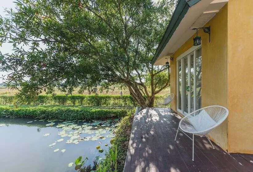 Hotel Rosario Oasis Resort   Sha Plus