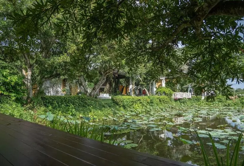 בית מלון כפרי Rosario Oasis Resort   Sha Plus