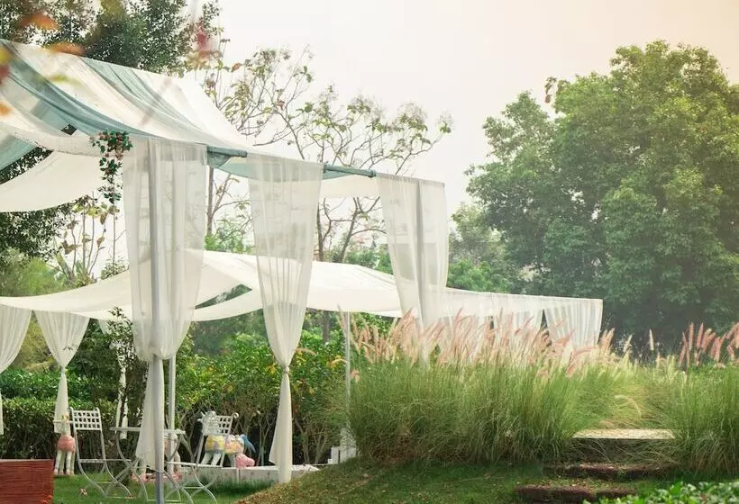 فندق Rosario Oasis Resort   Sha Plus