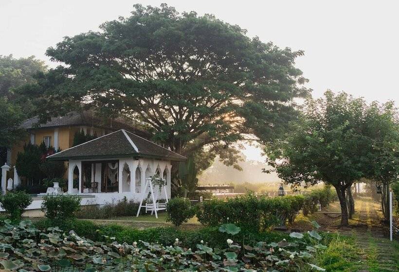 בית מלון כפרי Rosario Oasis Resort   Sha Plus