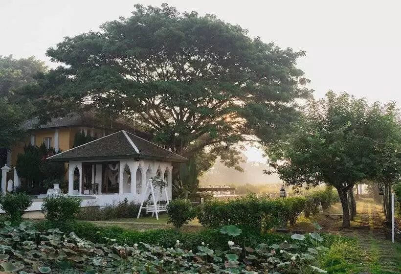 Hotel Rosario Oasis Resort   Sha Plus