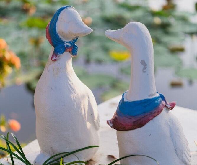 בית מלון כפרי Rosario Oasis Resort   Sha Plus