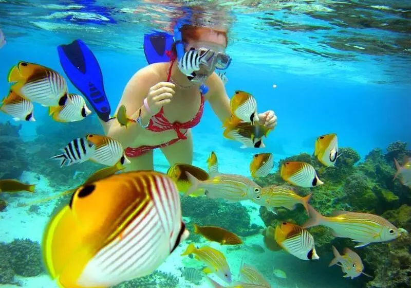 هتل The Rarotongan Beach Resort & Lagoonarium