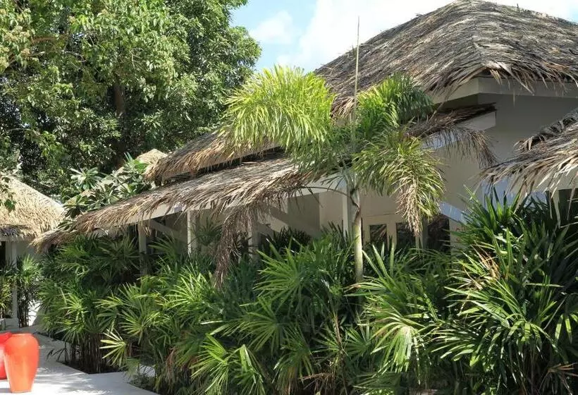 בית מלון כפרי The White Cottage