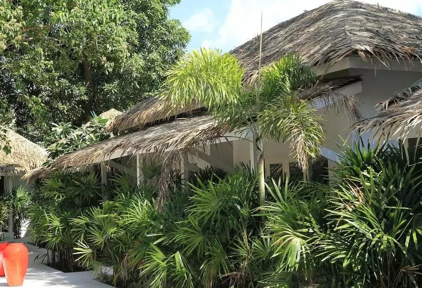 בית מלון כפרי The White Cottage