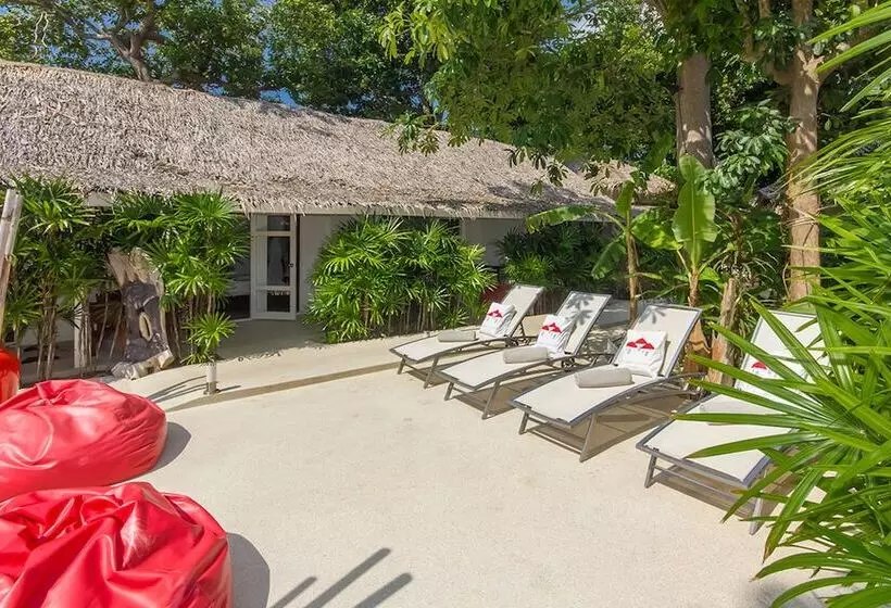 בית מלון כפרי The White Cottage