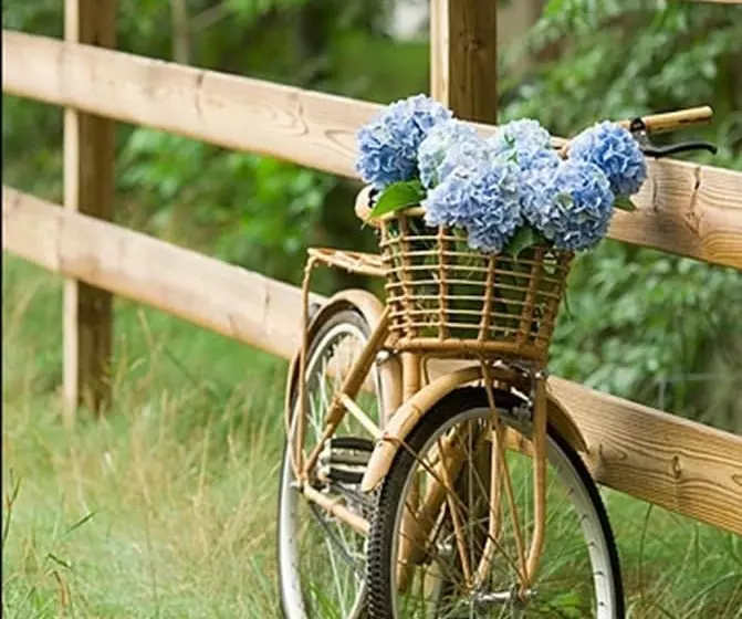 בית מלון כפרי The Windmill Phuket