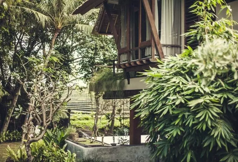 Курорт Reddoor Bali