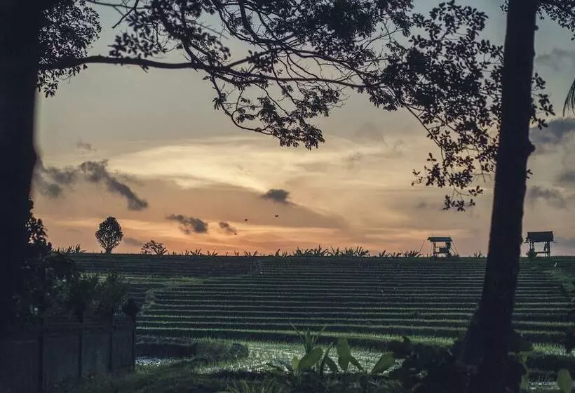 Курорт Reddoor Bali