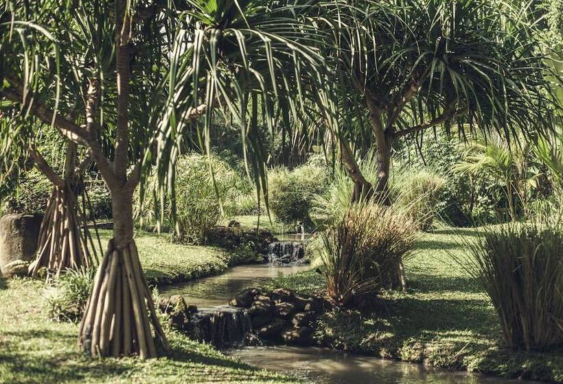 リゾートホテル Reddoor Bali