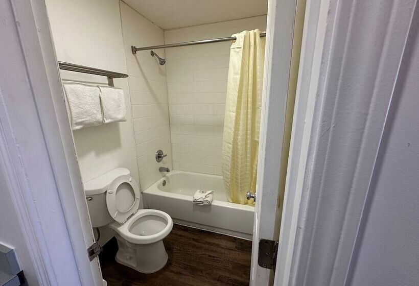 汽车旅馆  Desert Sands Inn & Suites