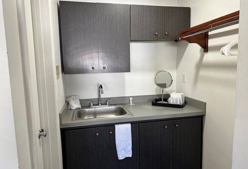 汽车旅馆  Desert Sands Inn & Suites