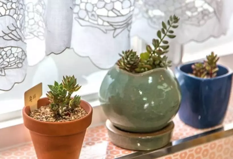 Seonjaedo Secret Spa Pension