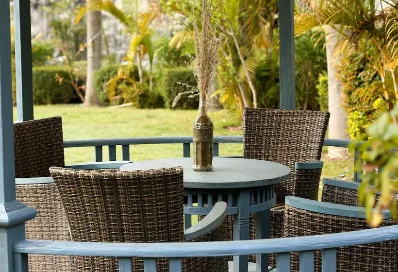 Отель Brys Caves