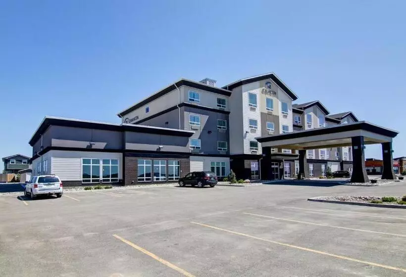 酒店 Canalta Selkirk