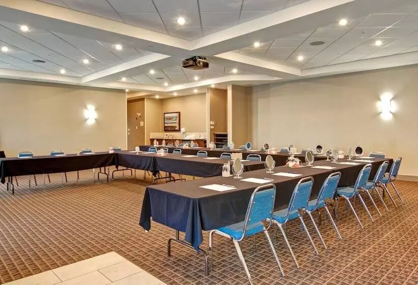 酒店 Canalta Selkirk