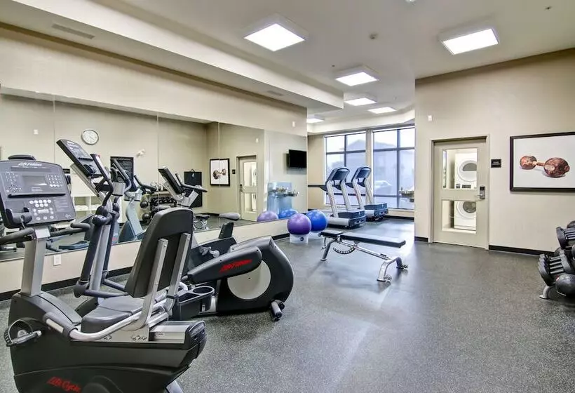 酒店 Canalta Selkirk