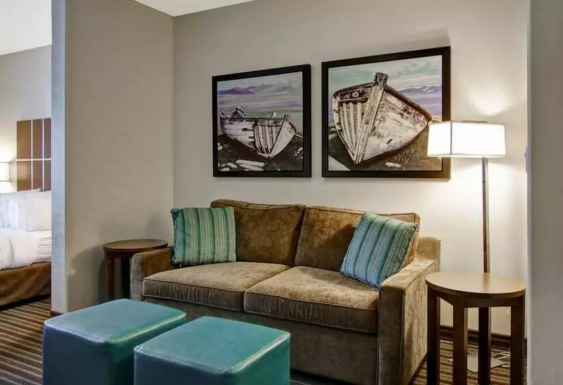 酒店 Canalta Selkirk