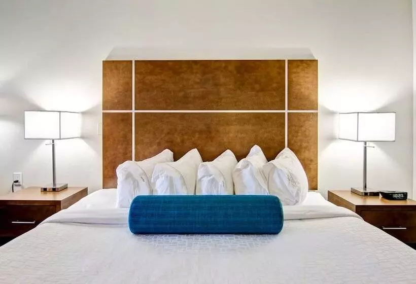 酒店 Canalta Selkirk