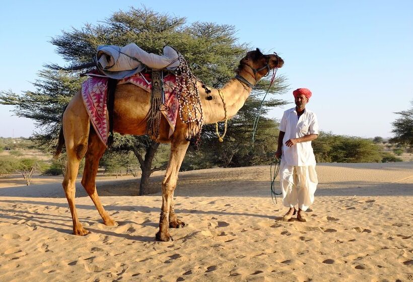 酒店 Registan Desert Safari Camps