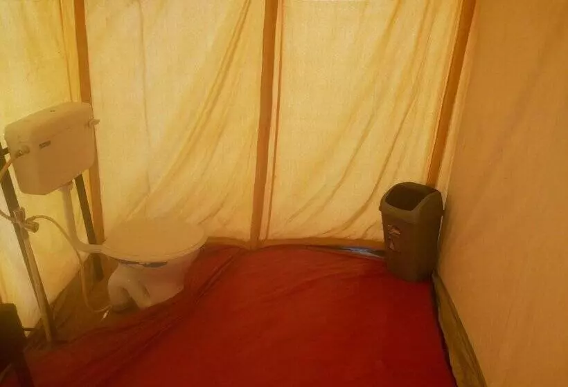 酒店 Registan Desert Safari Camps