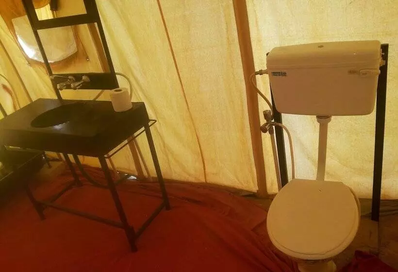 酒店 Registan Desert Safari Camps