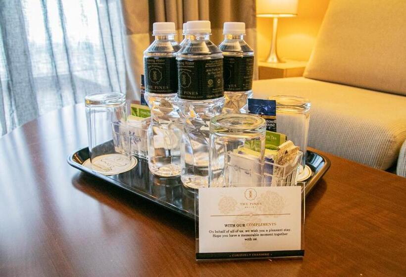 酒店 The Pines Melaka