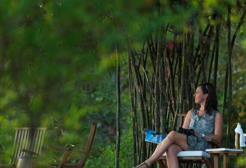 Resort The Serai Kabini