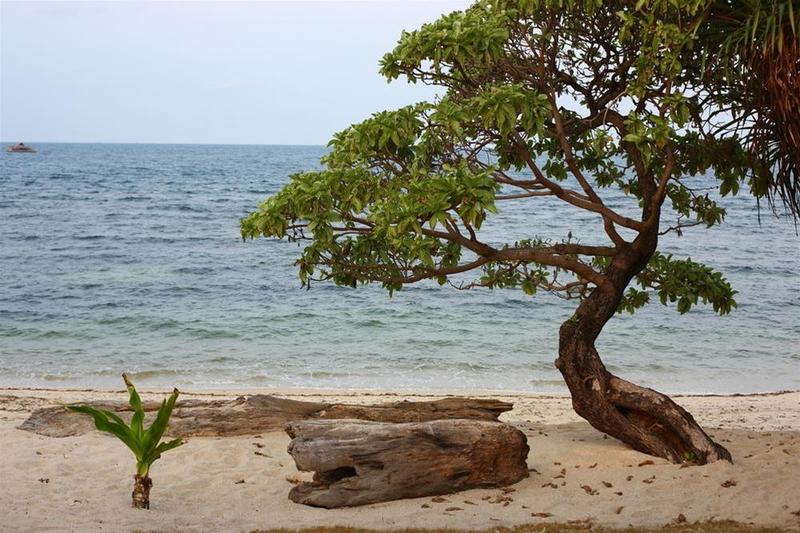 Trikora Beach Club & Resort