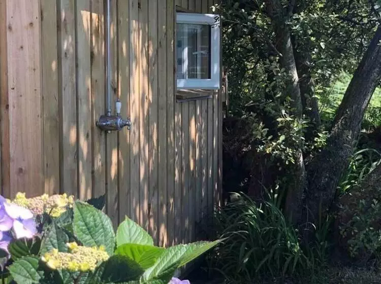 Beautiful 1 Bed Cottage In Saint Agnes