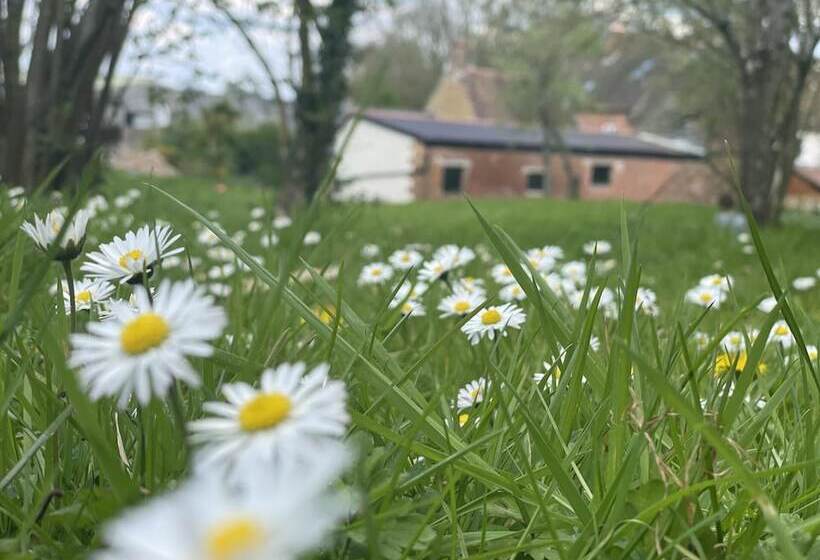 Beautiful 2bed Cottage In Knowle St Giles Nr Chard